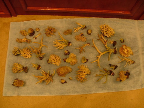 DSCF4349.JPG