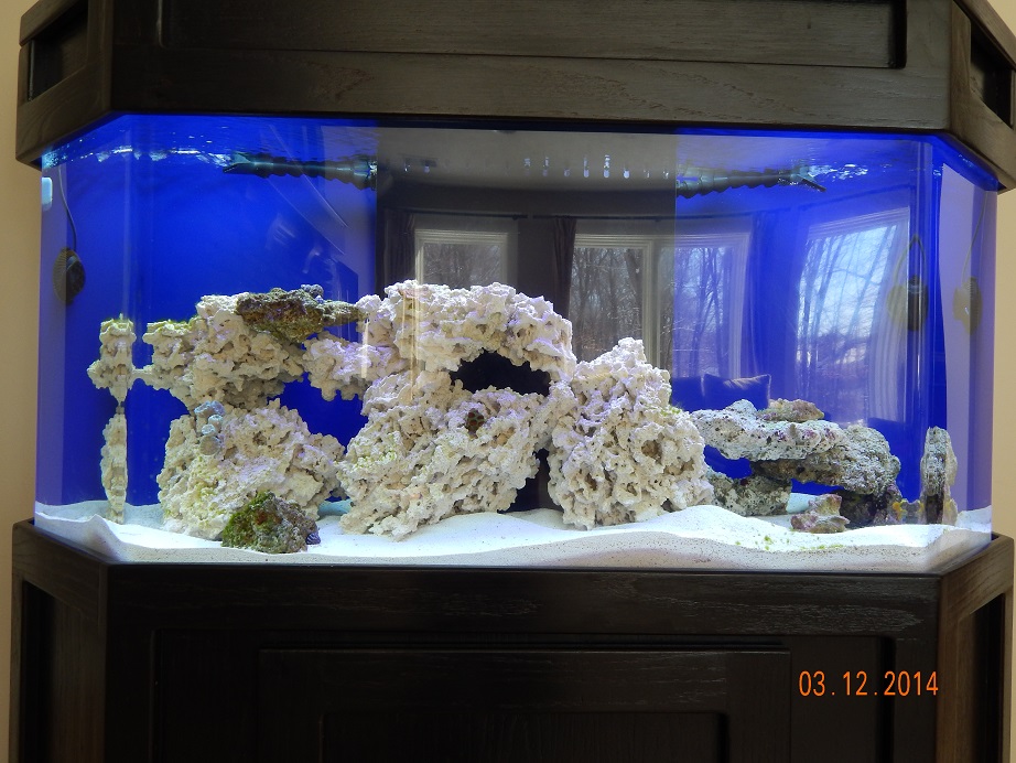 tank_fullpic.jpg