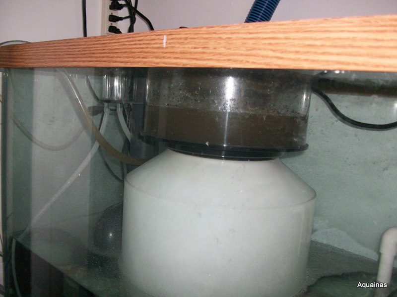 100_6874.jpg