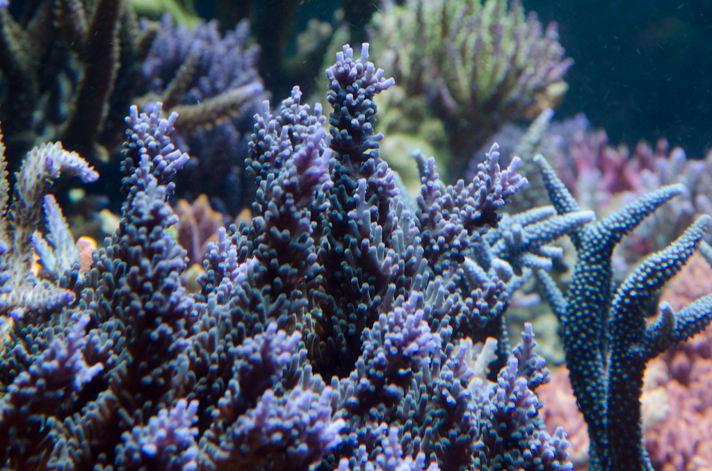 DSC_3747.jpg