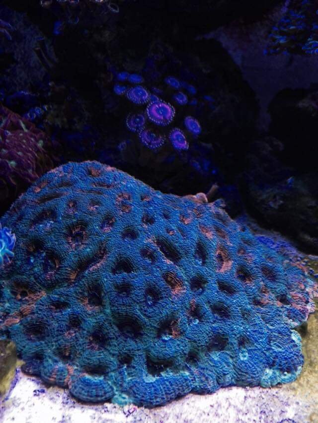 a2421712d5ad9b1c81cac3ec603cce84.jpg