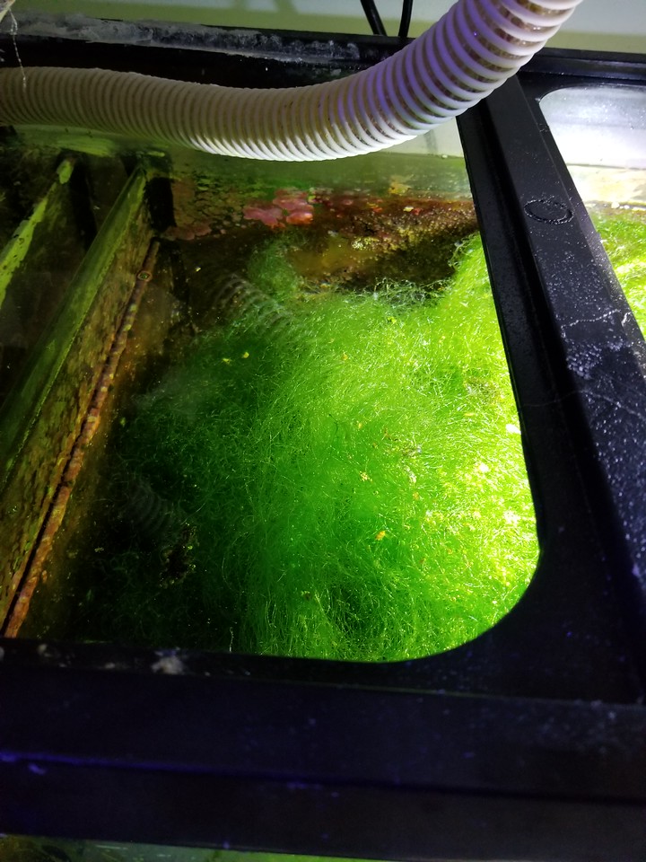 20170427_215343-X2.jpg