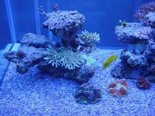 DSC03354.JPG