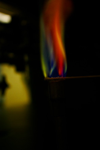 2219386877_1d7f6f6a08.jpg