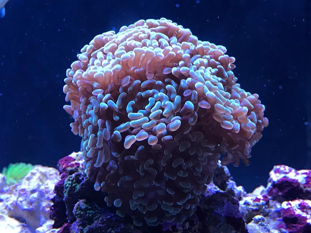 1028e43a5f7c23f11d79e07442967df8.jpg