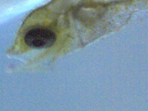 man_58_12.jpg