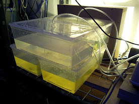 jhfuoIZMlgm0GuoXh6wA-Lc417CxjKLPvxyw-57tlfE=w276-h207-p-no