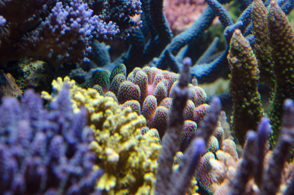 DSC_3745.jpg