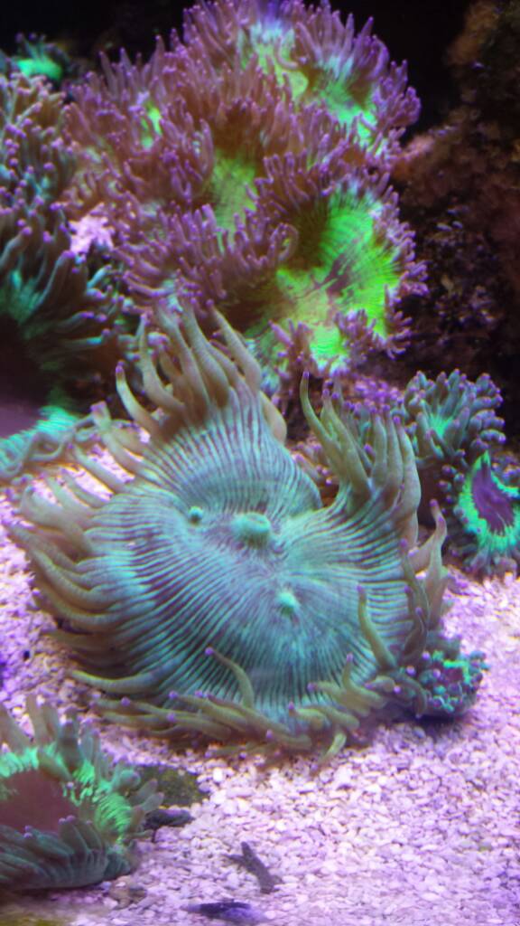 52c3cc259c54ba948897855392121e07.jpg