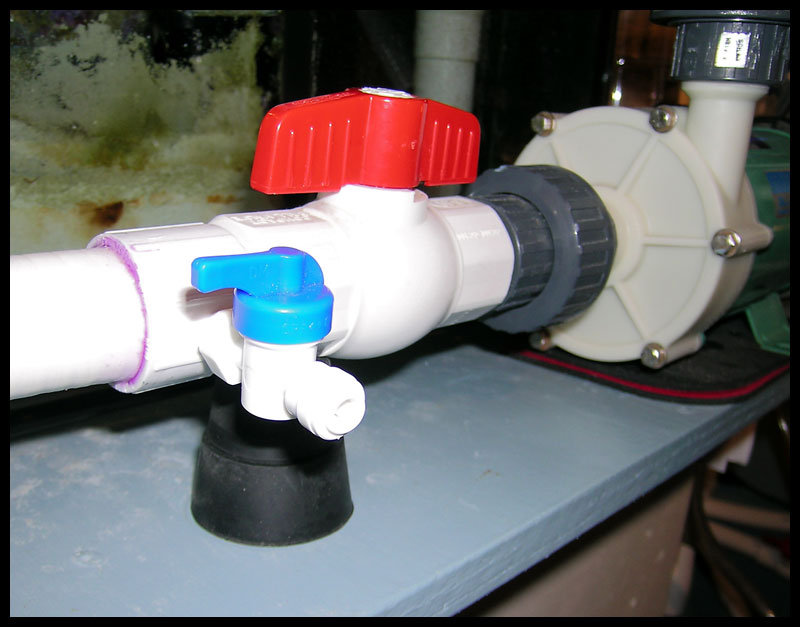 457_jg_cl_drain.jpg