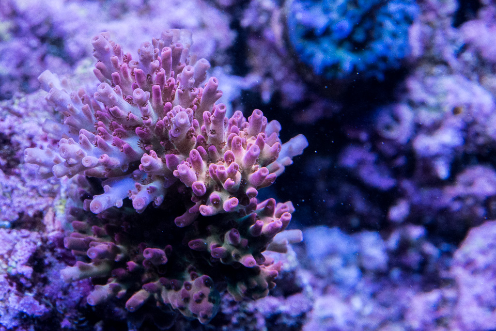 2016081801-2.jpg