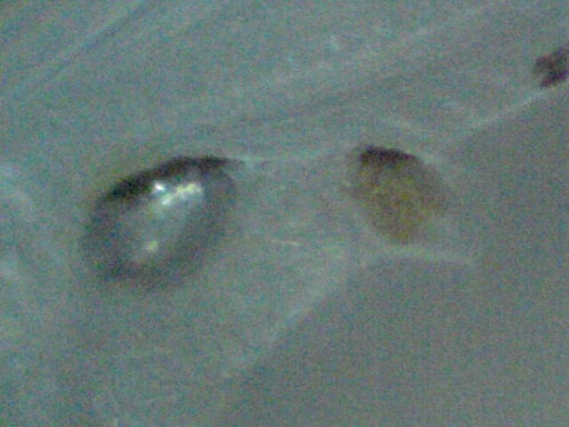AL_192_5.jpg