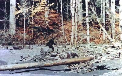 bigfoot_patterson01.jpg