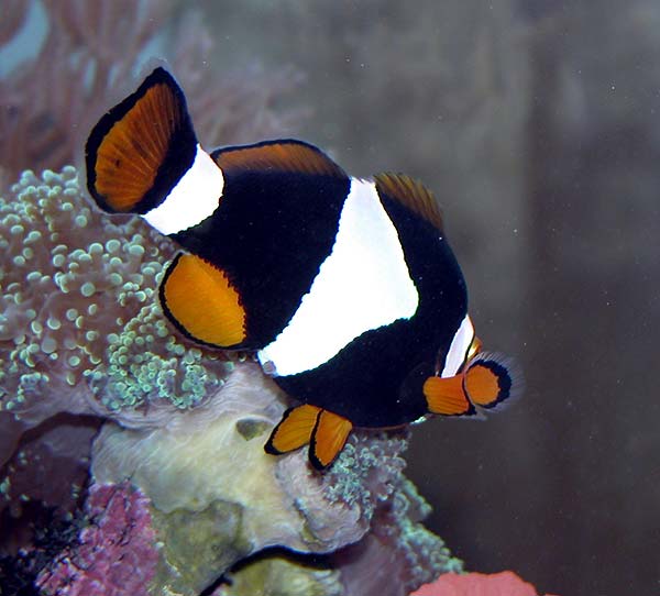 DSCN7713.jpg