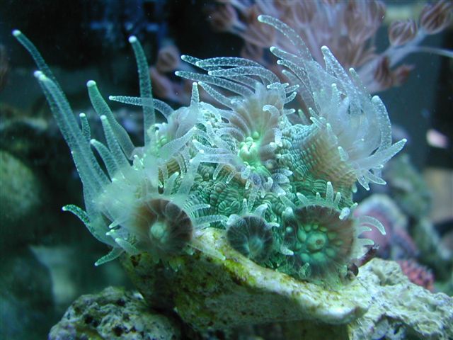 Oct_22_2005_9.JPG