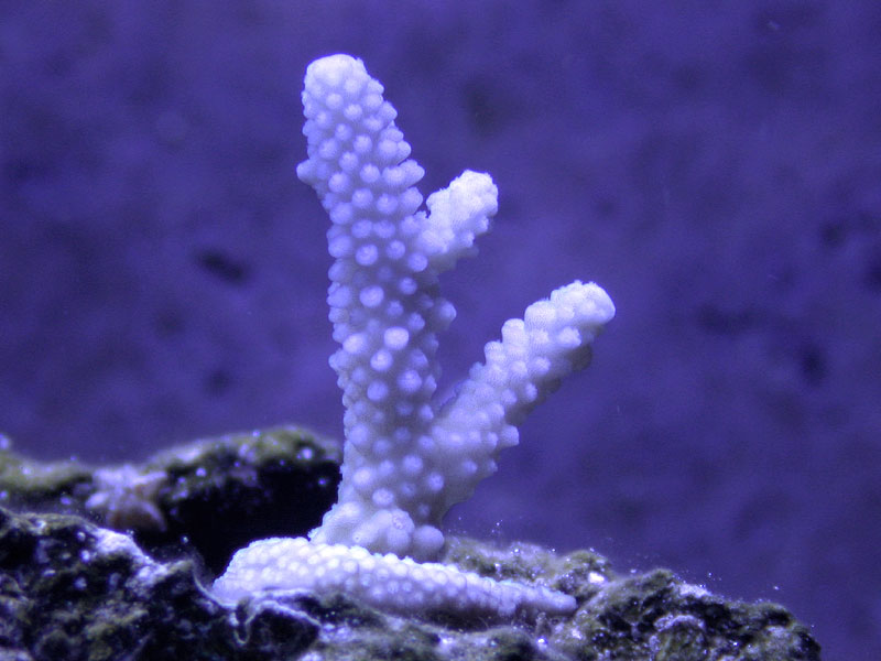 DSCN3150.jpg