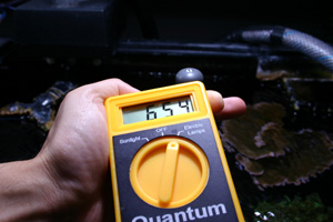 lightmeter_250w.jpg
