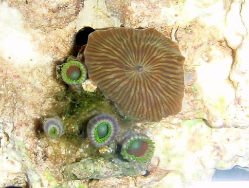 PB290013.JPG