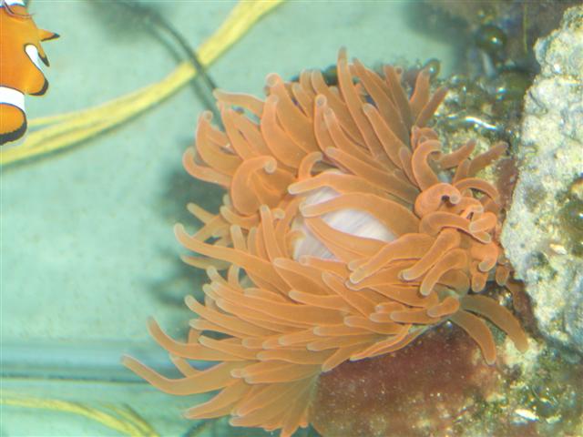 IMGP1164 (small).jpg