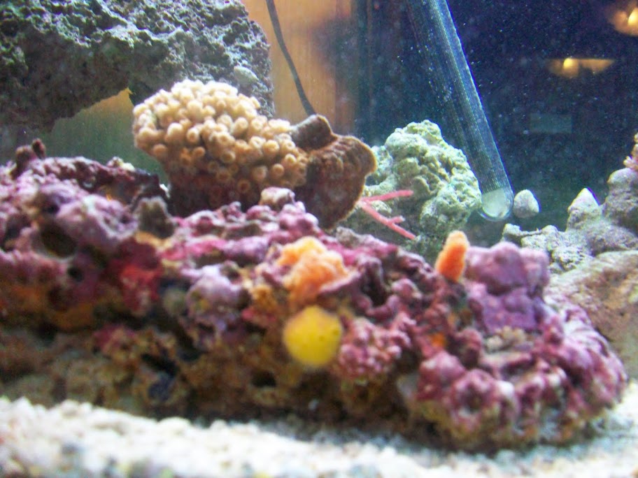100_1789.JPG