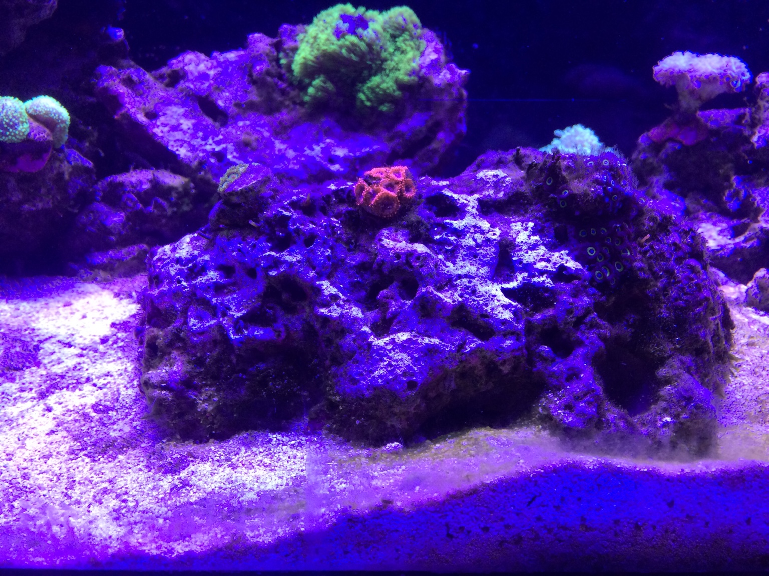 3e0e210858ecb4edaac316d0641437e9.jpg