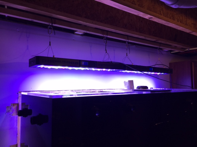 led.jpg
