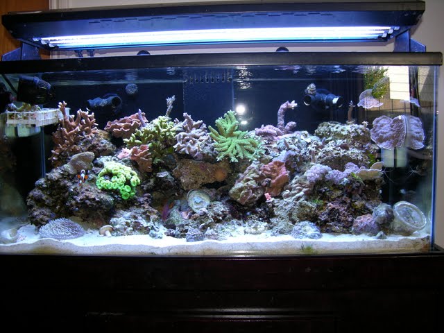 DSCN1958.JPG