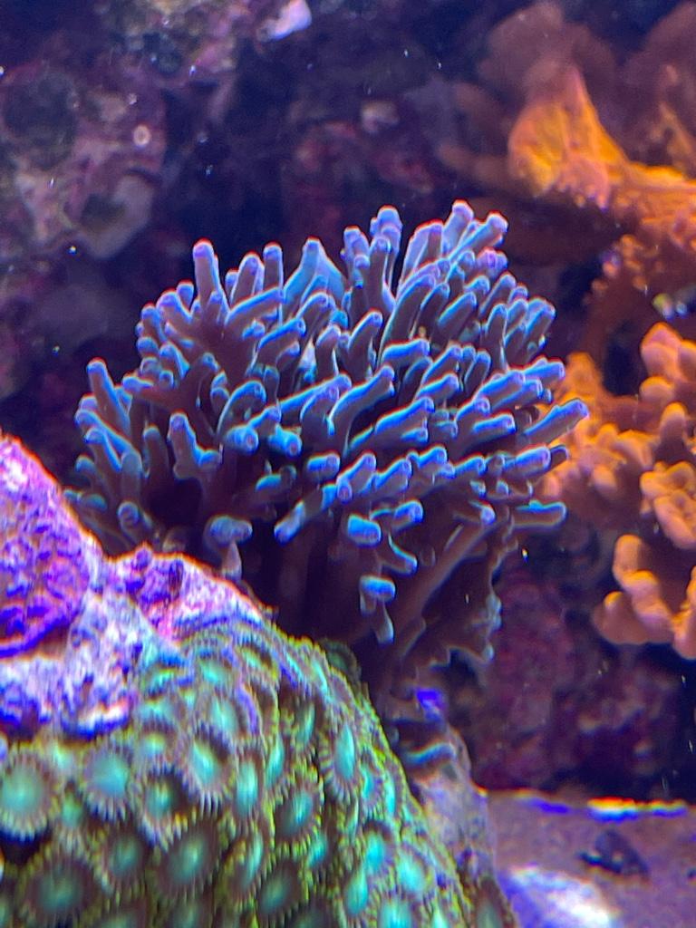 e3e467bcad15c850f3d4513187c0a707.jpg