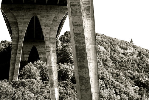 2810725418_174a1d032c.jpg