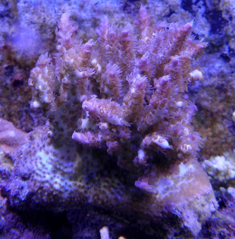 P4250024.JPG