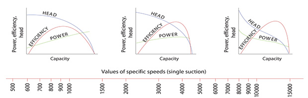 Figure-2-PE0312.jpg
