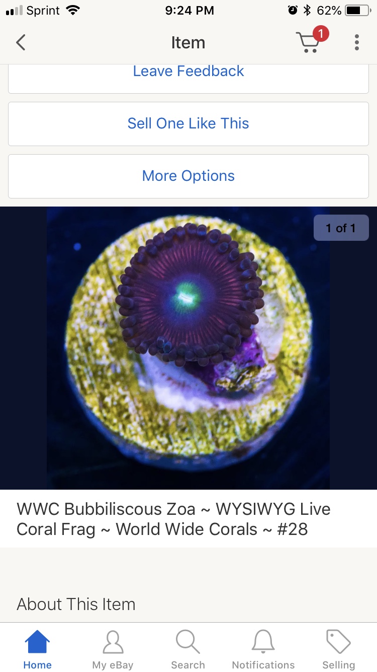 fd2d073f48d147b016d39bcd80473182.png