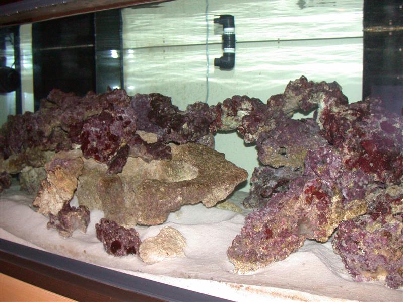 DSCN2335.JPG
