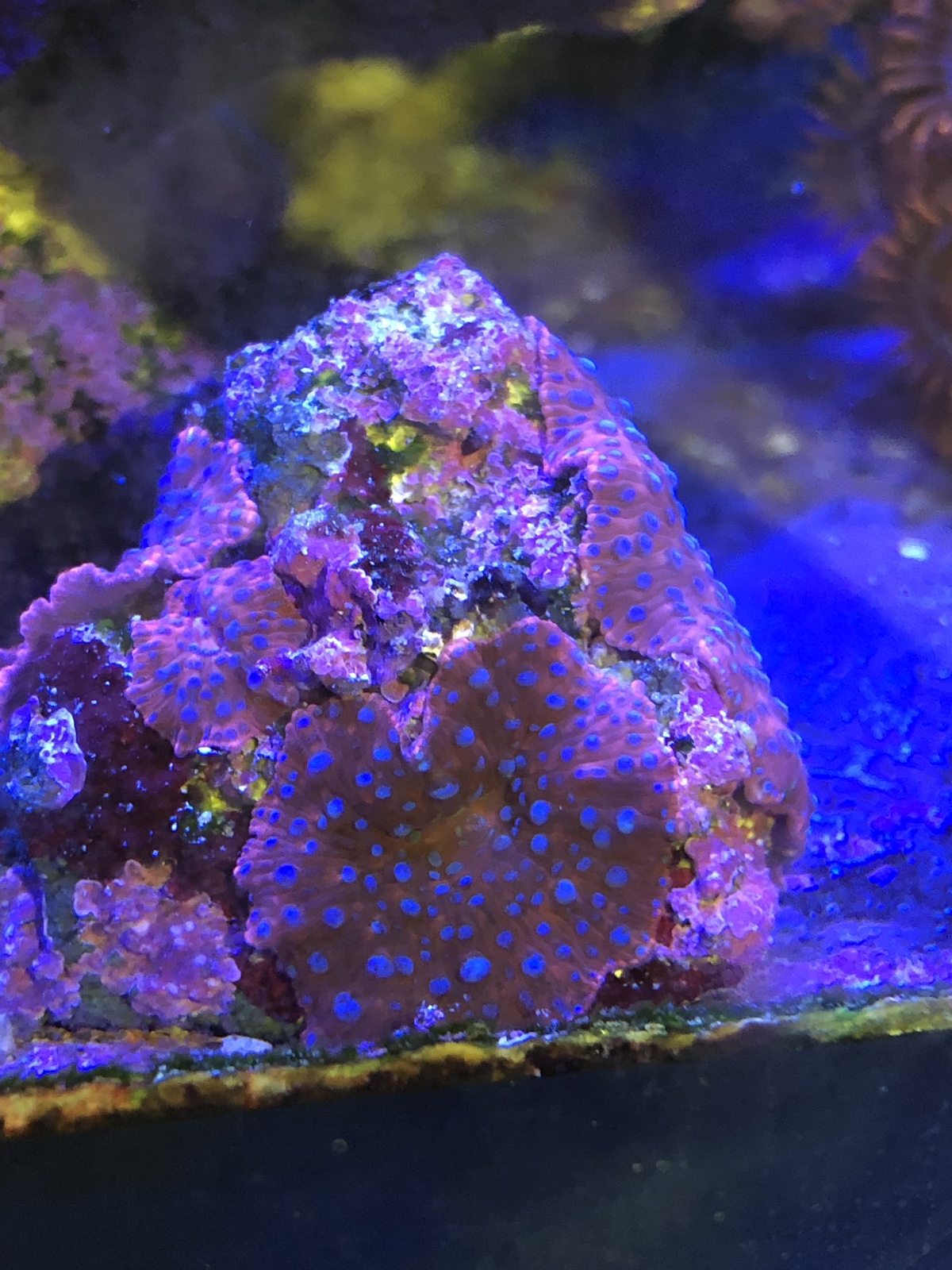 fef48a12449538399e7ccfac0efabd5f.jpg