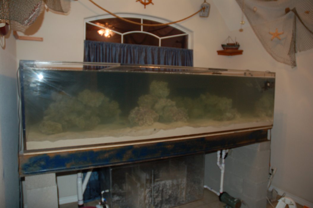 fishroom48.jpg