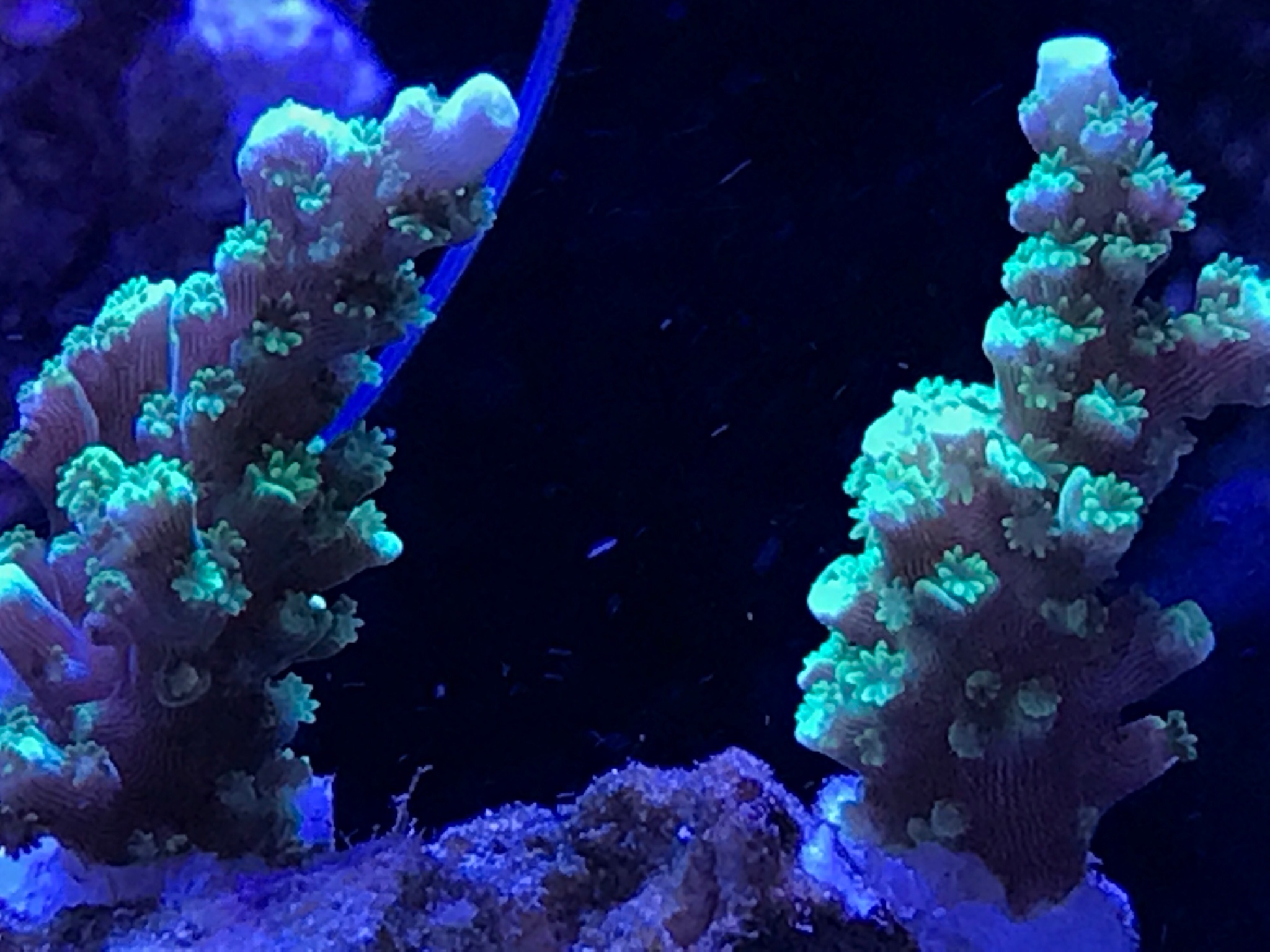 c33b907eaba11794baef4733ef605a35.jpg