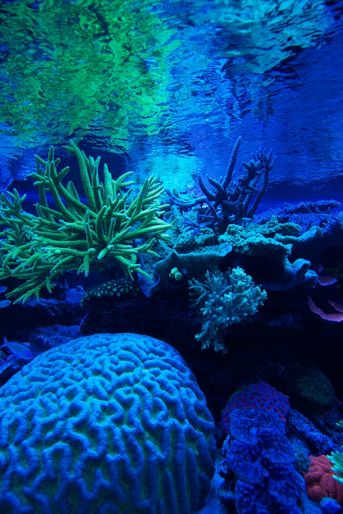 201108-5.jpg