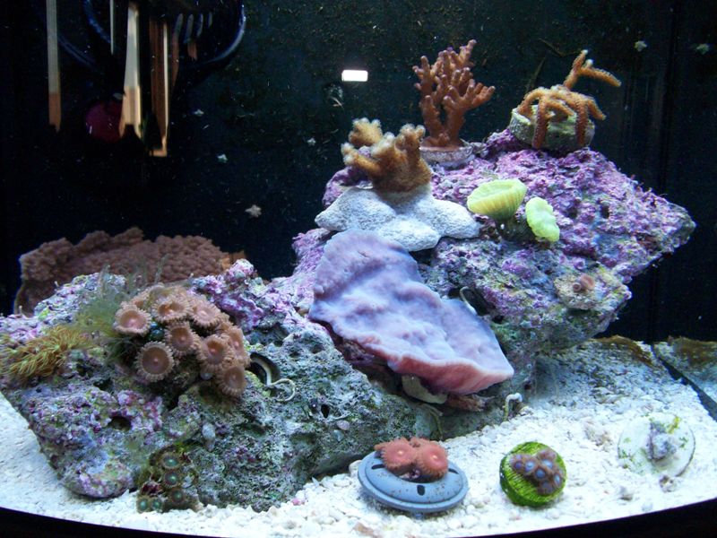 100_6078.jpg