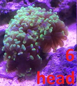 9361a2e2d317d10b4db89fe829f54c54-png.jpg