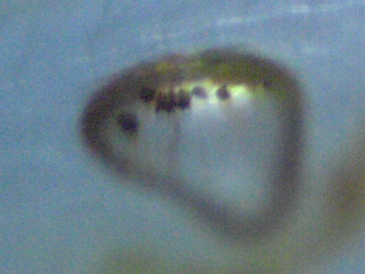 GBG_458_6.jpg