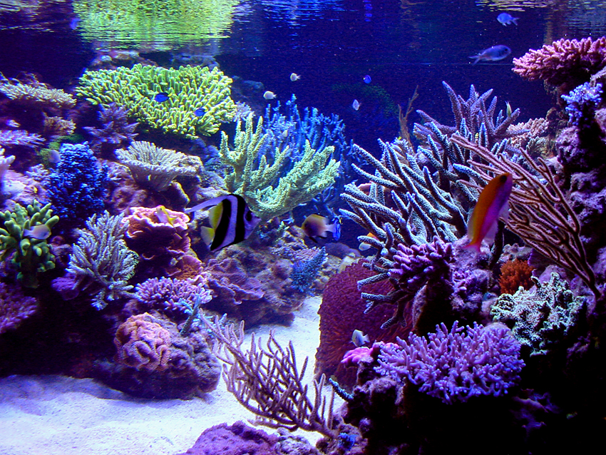 p_014_l.jpg