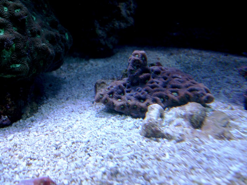 100_9660.jpg