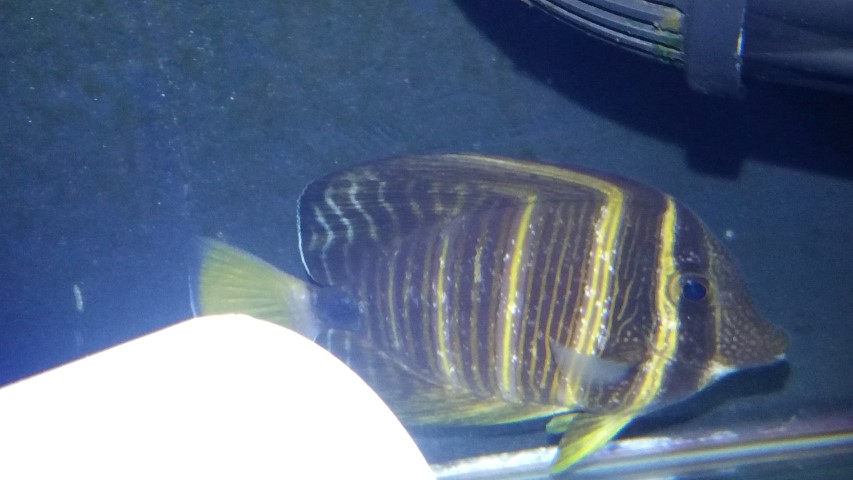 20171218_164726.jpg