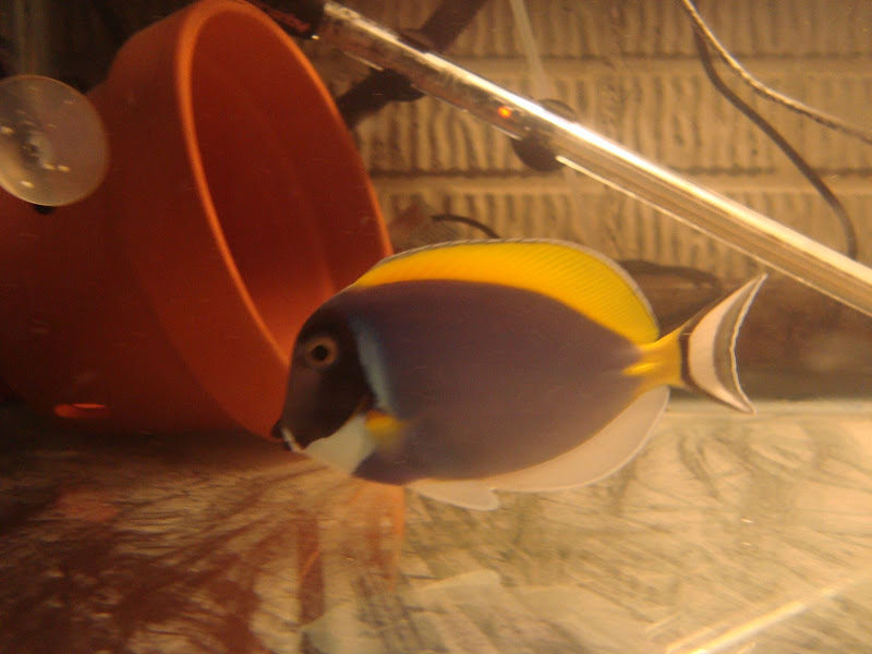 111310aquarium%20027.JPG