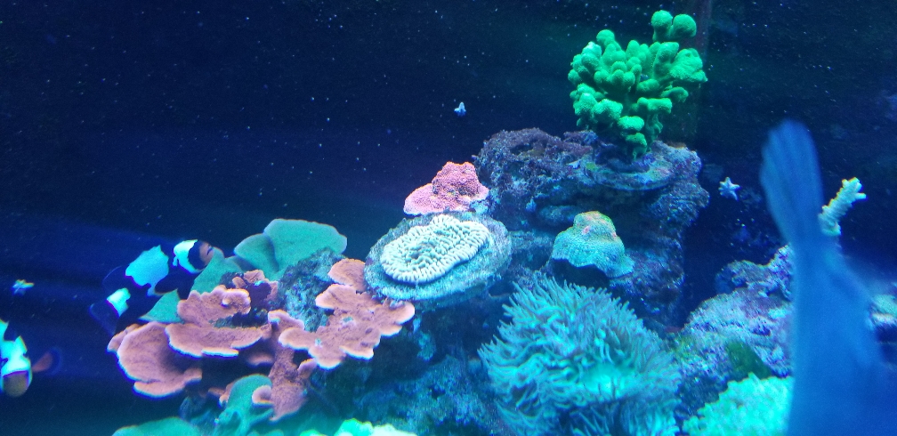 a1a75dafbead51bccb06033f06ce6177.jpg