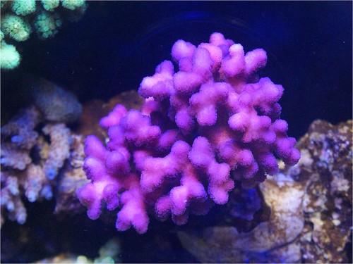 6044921060_5b3d3ccb37.jpg