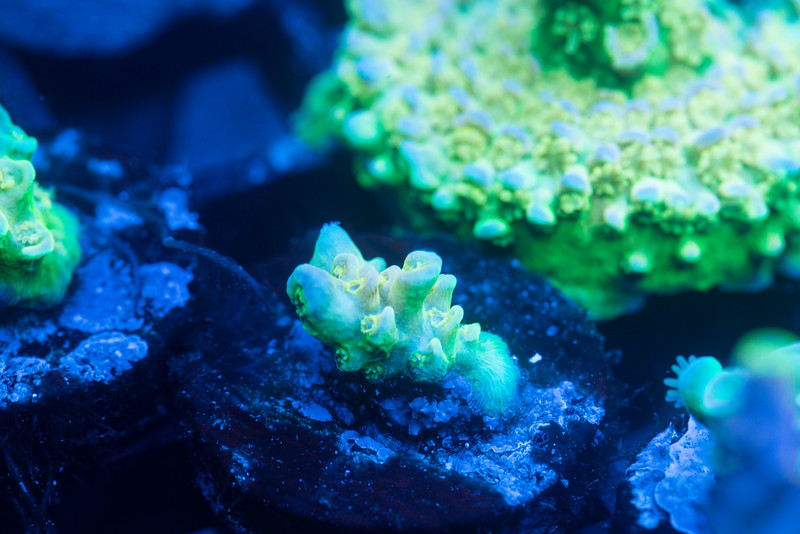 DSC_5666-L.jpg