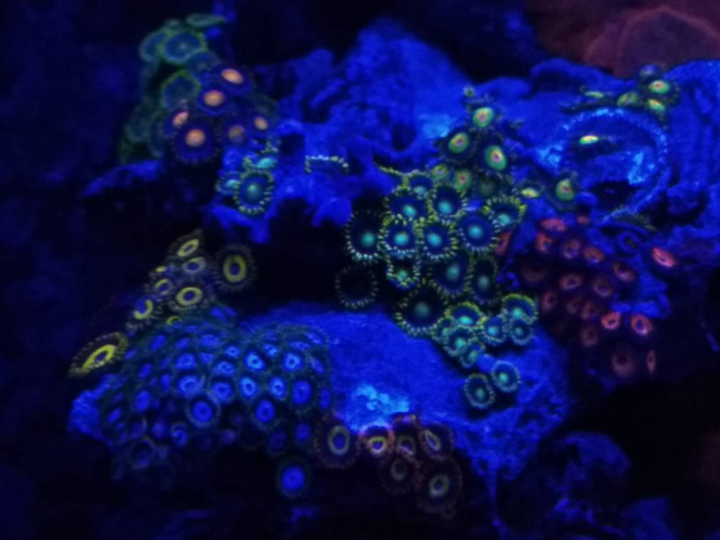 c6c9806e14543d4b7e5413e2289e5b52.jpg