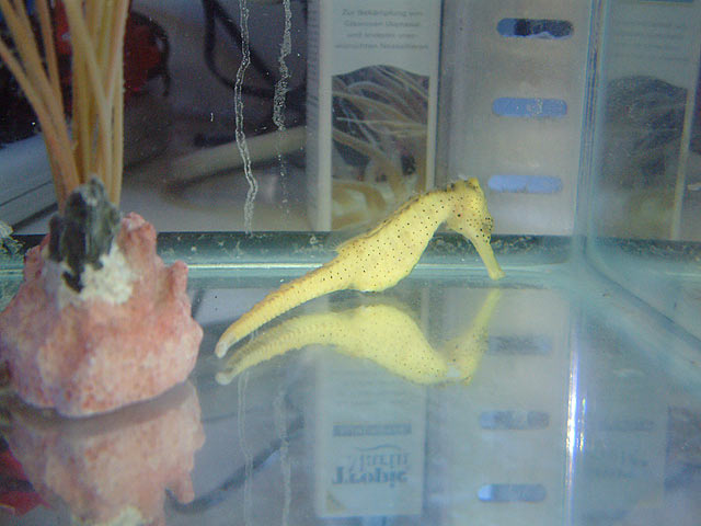 casper_feb19c.jpg