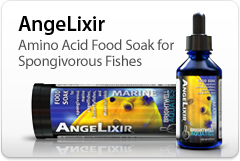 angeLixir_adlet.png